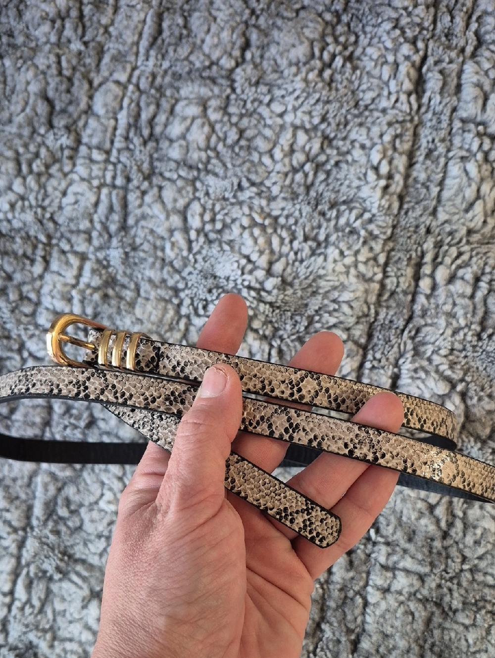 Charlotte Russe 🖤 Snake Print Skinny Belt with Gold Buckle (711)